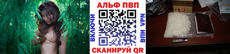 Alpha PVP VHQ  Купить  Бакал 