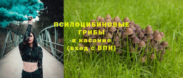 прущий лед Карпинск