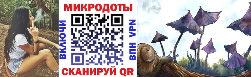 Купить  Бакал  Псилоцибиновые грибы мухоморы 